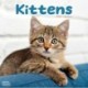 Kittens Calendar 2026  Square Cats Wall Calendar - 16 Month