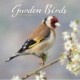 Garden Birds Calendar 2026  Square Birds Wall Calendar - 16 Month