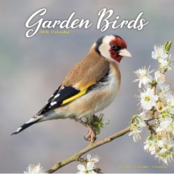 Garden Birds Calendar 2026  Square Birds Wall Calendar - 16 Month