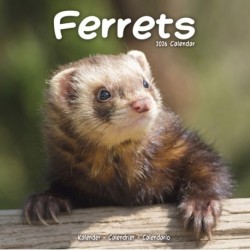 Ferrets Calendar 2026  Square Animal Wall Calendar - 16 Month