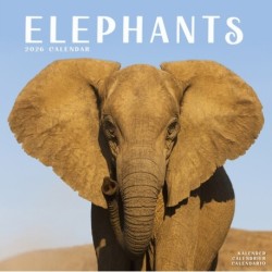 Elephants Calendar 2026  Square Wildlife Safari Wall Calendar - 16 Month