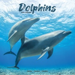Dolphins Calendar 2026  Square Animal Wall Calendar - 16 Month