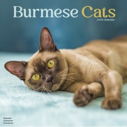 Cats - Burmese Calendar 2026  Square Cat Wall Calendar - 16 Month