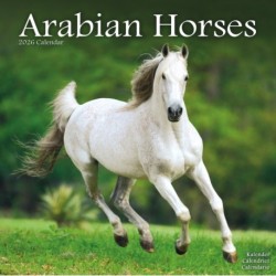 Arabian Horses Calendar 2026  Square Horses Wall Calendar - 16 Month