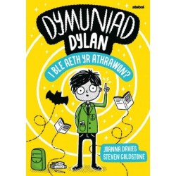 Dymuniad Dylan: I Ble Aeth yr Athrawon?