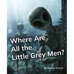 Where Are All the Little Grey Men?: Phonics Phase 5