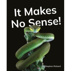 It Makes No Sense!: Phonics Phase 5