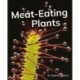Meat-Eating Plants: Phonics Phase 5