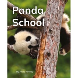Panda School: Phonics Phase 5