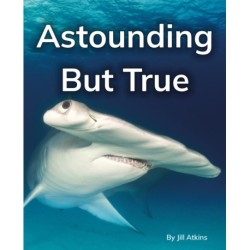 Astounding But True: Phonics Phase 5