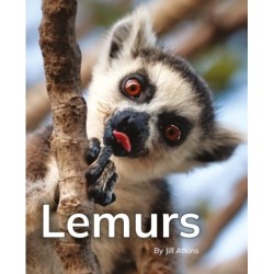 Lemurs: Phonics Phase 5