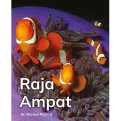 Raja Ampat: Phonics Phase 5