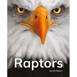 Raptors: Phonics Phase 5