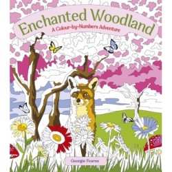 Enchanted Woodland: A Colour-by-Numbers Adventure