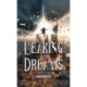 Leaking Dreams
