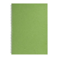 A3 Posh Black Display 25lvs Emerald Banana