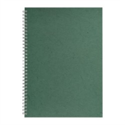 A3 Posh Black Display 25lvs Dark Green Silk