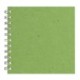 6x6 Posh Pig White Paper 35lvs Emerald Banana