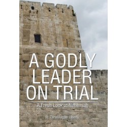 A Godly Leader on Trial: A Fresh Look at Nehemiah