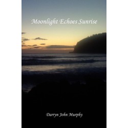 Moonlight Echoes Sunrise