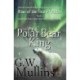 Rise Of The Snow Queen Book One: The Polar Bear King