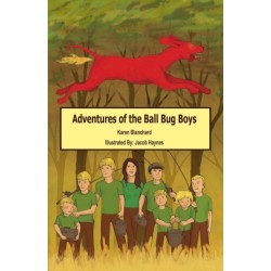 Adventures of the Ball Bug Boys