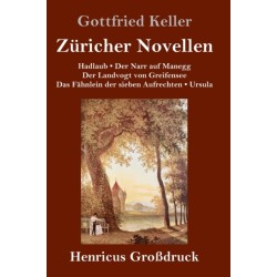 Zuricher Novellen (Großdruck)