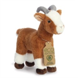Eco Nation Goat