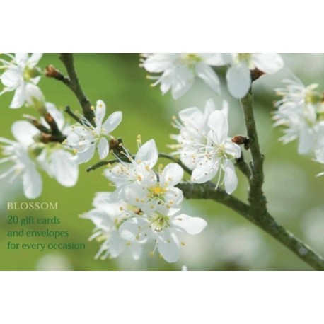 Card Box of 20 Notecards and Envelopes: Blossom: A Delightful Pack of High-quality Flower Gift Cards and Decorative Envelopes