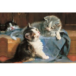 Memo Block: Kittens: High-quality block of notepapers in a presentation cube box with built-in drawer