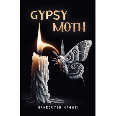 Gypsy Moth