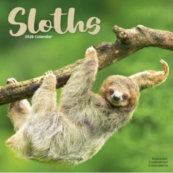 Sloths Calendar 2026  Square Animal Wall Calendar - 16 Month