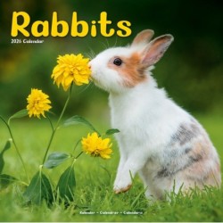 Rabbits   Calendar 2026  Square Animal Wall Calendar - 16 Month