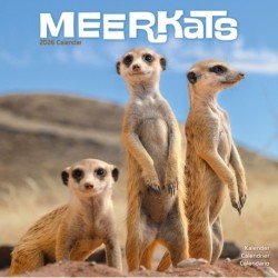 Meerkats Calendar 2026  Square Wildlife Safari Wall Calendar - 16 Month