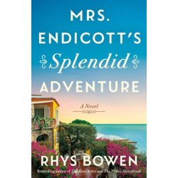 Mrs. Endicott's Splendid Adventure: A Novel