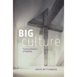Big Culture: Toward an Aesthetics of Magnitude