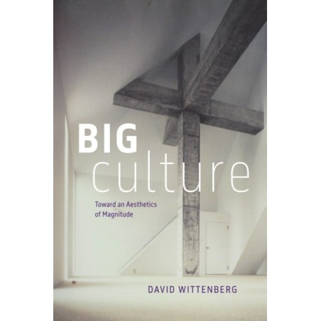 Big Culture: Toward an Aesthetics of Magnitude