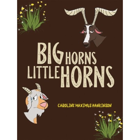 Big Horns Little Horns