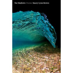 The Shallows: Poems