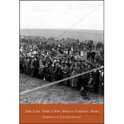 The Last Time I Saw Amelia Earhart: Poems