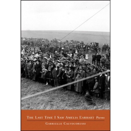 The Last Time I Saw Amelia Earhart: Poems