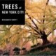 Trees of New York City