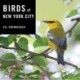 Birds of New York City