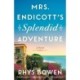 Mrs. Endicott's Splendid Adventure: A Novel