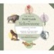 The Artist's Field Guide to Yellowstone: A Natural History by Greater Yellowstone's Artists and Writers