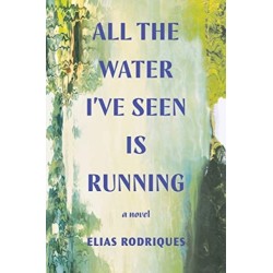 All the Water I've Seen Is Running - A Novel