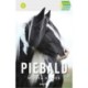 Piebald