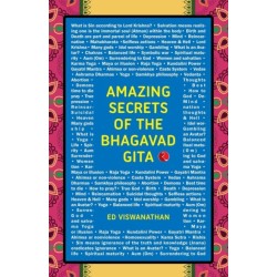 Amazing Secrets of the Bhagavad Gita