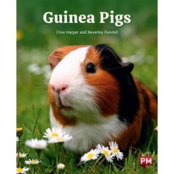 GUINEA PIGS