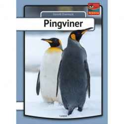 Pingviner
